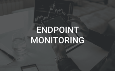 endpoint monitoring